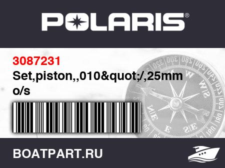 Изображение товара Set,piston,,010&quot;/,25mm o/s