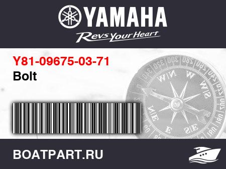 Изображение товара Bolt