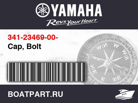 Изображение товара Cap, Bolt