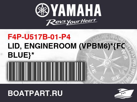 Изображение товара LID, ENGINEROOM (VPBM6)*{FOR BLUE}*