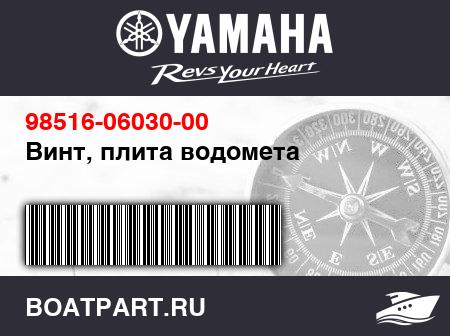 Изображение товара Винт, плита водомета