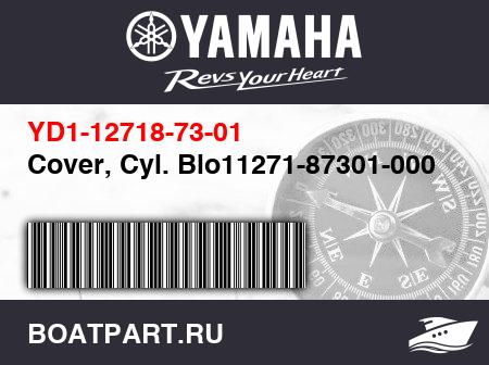 Изображение товара Cover, Cyl. Blo11271-87301-000