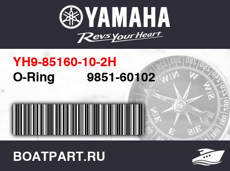 Изображение товара O-Ring         9851-60102