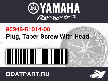 Изображение товара Plug, Taper Screw With Head