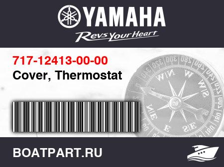 Изображение товара Cover, Thermostat