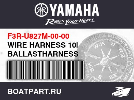 Изображение товара WIRE HARNESS 10| BALLASTHARNESS