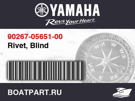 Изображение товара Rivet, Blind