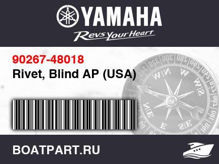 Изображение товара Rivet, Blind AP (USA)